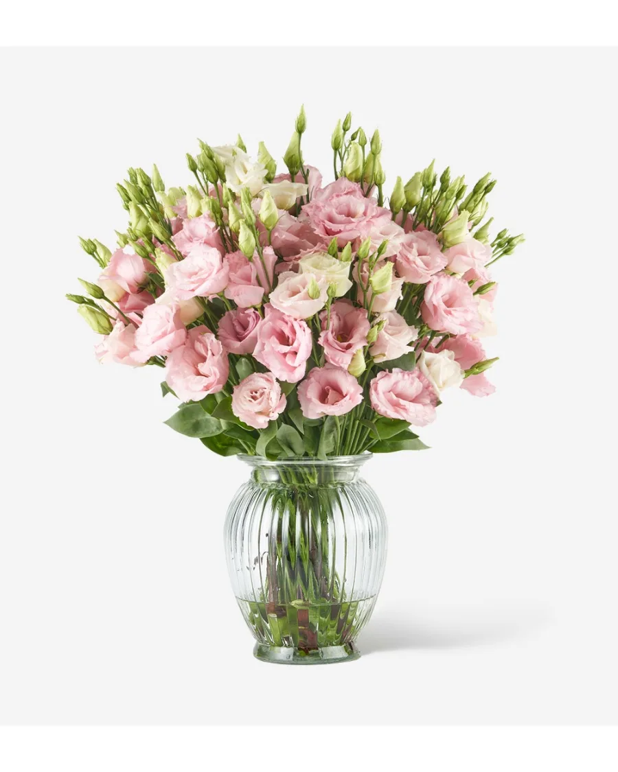 Eustoma